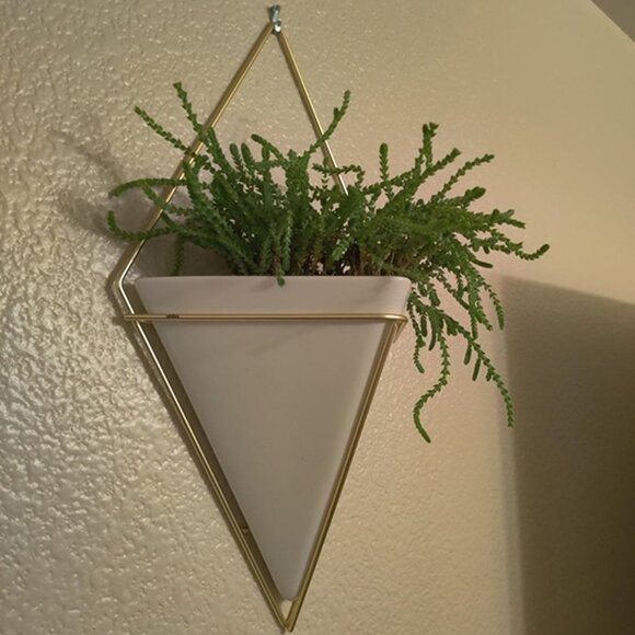 NEW  Hanging Planter Vase Wall Decor, Pot and Container for Succulents - Picture 3 of 9